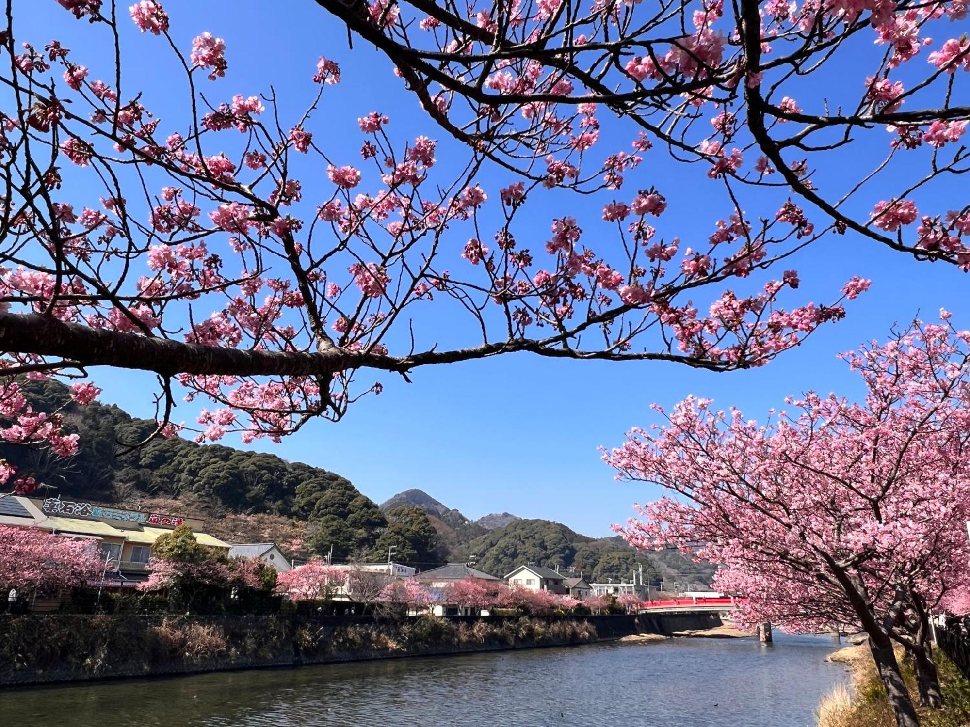 Tiny Base The River House & Trailer Kawazu Εξωτερικό φωτογραφία
